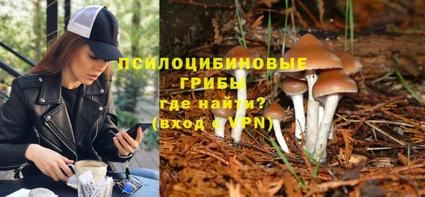прущая мука Ладушкин