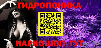 не бодяженный Камышлов