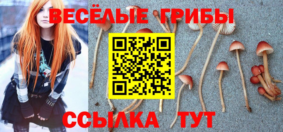 Галлюциногенные грибы мухоморы  Галлюциногенные грибы мицелий  Саранск  Вход с VPN 