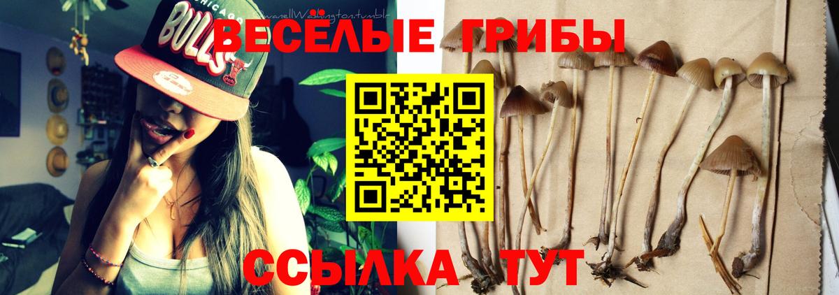 Галлюциногенные грибы мицелий Саранск