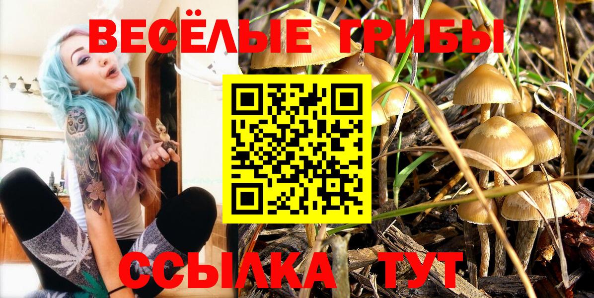 магазин    Саранск  Псилоцибиновые грибы мицелий 